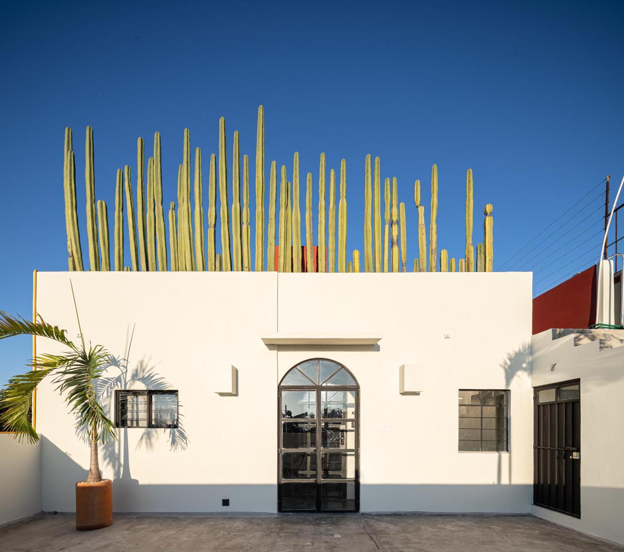 Casa Lumos - Minimalist Comfort Suites In Centro Historico Oaxaca Bagian luar foto