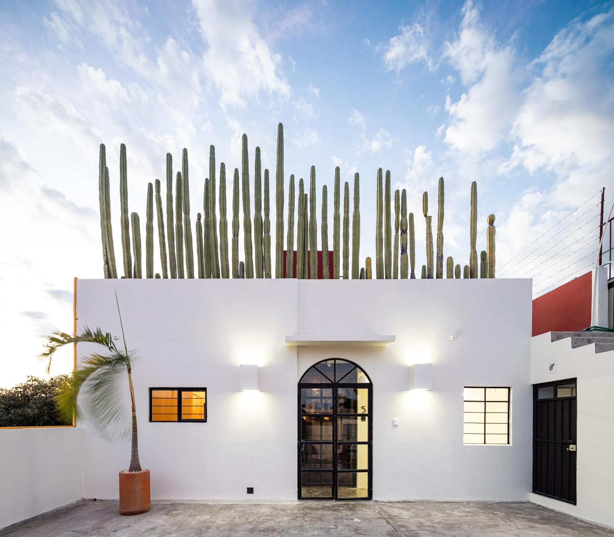 Casa Lumos - Minimalist Comfort Suites In Centro Historico Oaxaca Bagian luar foto