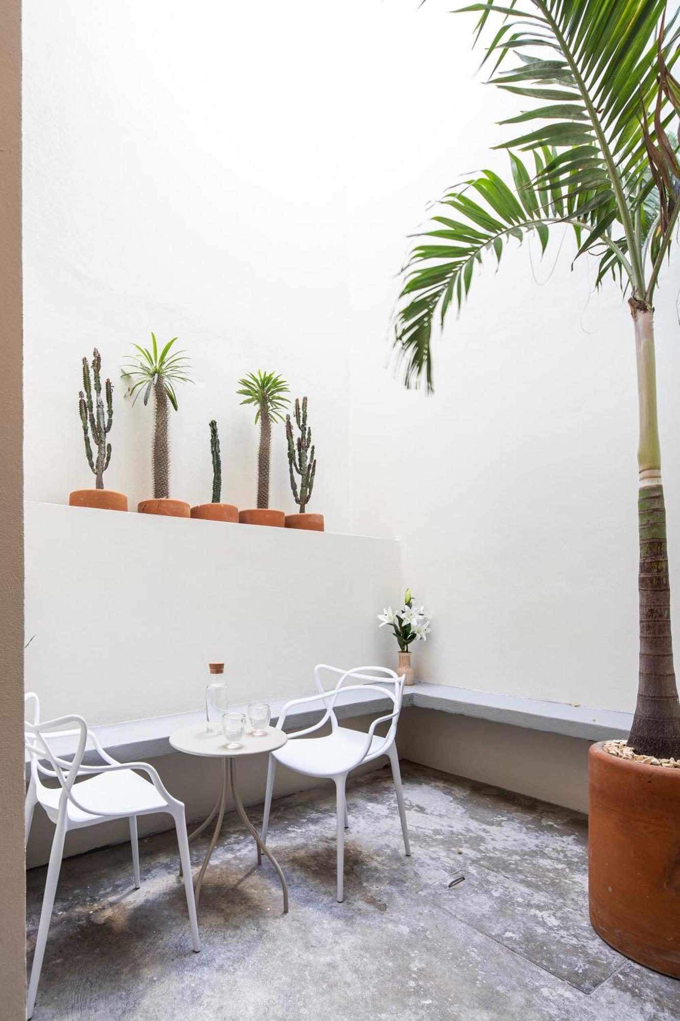 Casa Lumos - Minimalist Comfort Suites In Centro Historico Oaxaca Bagian luar foto